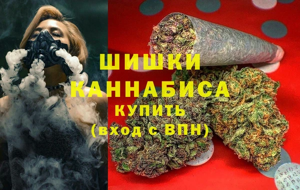 стаф Алзамай