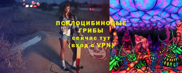 стаф Алзамай