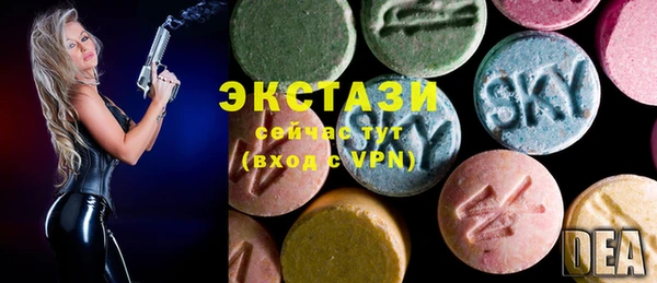 стаф Алзамай