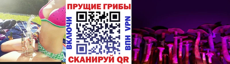 сайты даркнета какой сайт  Петровск-Забайкальский  Галлюциногенные грибы Psilocybine cubensis 